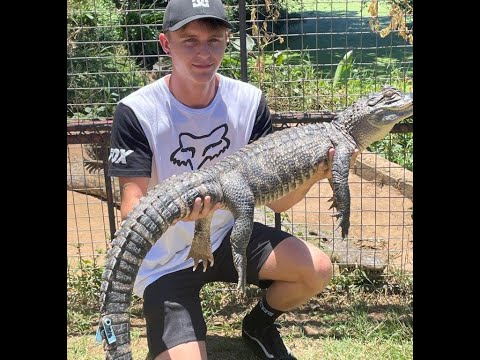 A Day At Crocodile Creek