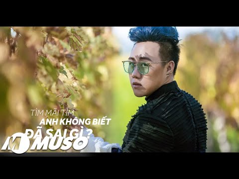Cánh Đồng Yêu Thương | Trung Quân Idol (Lyrics audio)
