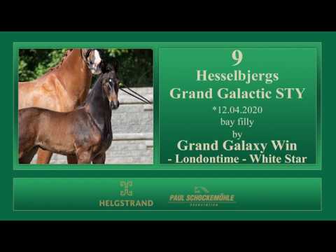 9 Hesselbjergs Grand Galactic STY by Grand Galaxy Win - Londontime - White Star