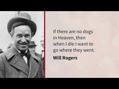 What’s so great about the Great Beyond?