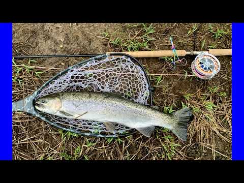 Salmon River Swinging Fly For Spring Steelhead 2023
