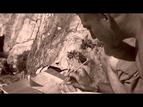 The Island with Bear Grylls