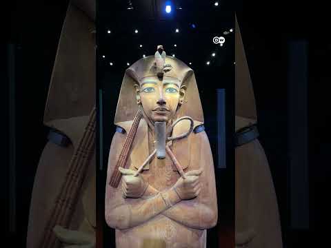 The secret behind Ramses II’s wooden coffin #dwhistoryandculture