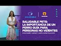 Saludable Pets: La importancia de un perro guía para personas no videntes