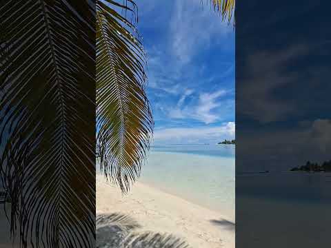 PARADISE San Blas Panamá GUNA YALA. #panama #sanblas #paradise #travel #turismo #gunayala