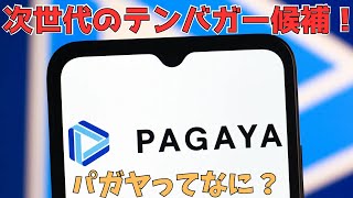 加速度的な成長のなか株価低迷でセール中！話題のPGYって何がすごいの？