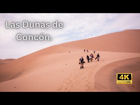 DESIERTO frente a Oceano Pacifico: DUNAS🏜 DE CONCON solo en Chile 🇨🇱 #chile #travel ##nature