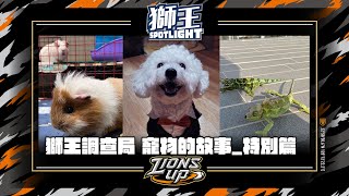 [分享] 獅王SPOTLIGHT#17》獅王調查局：寵物的故