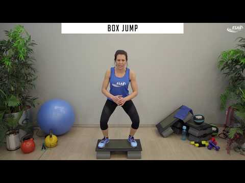 download lagu mp3 mp4 Step Aerobic Trainer, download lagu Step Aerobic Trainer gratis, unduh video klip Step Aerobic Trainer
