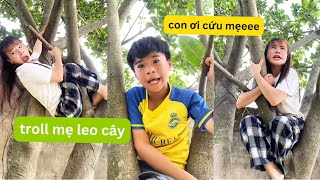 Tổng hợp video siêu hài hước vui nhộn, troll mẹ leo cây bắt trứng chim tới tối và cái kết