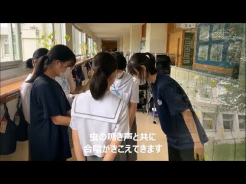 教育文化学部附属中学校　R4副校長通信　8月まとめ
