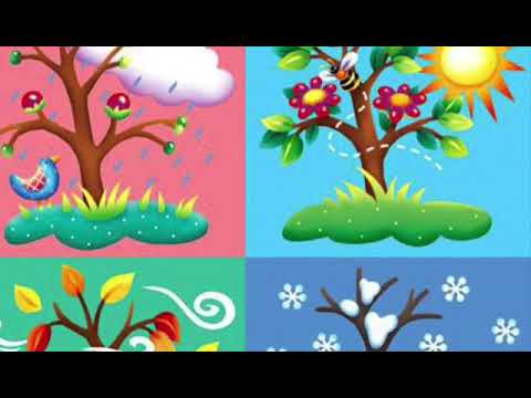 Canzone delle stagioni