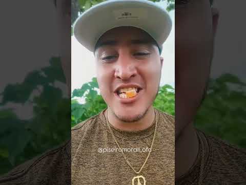 #hit #piseiro #musica #nordeste #goiás #jujuba #doces