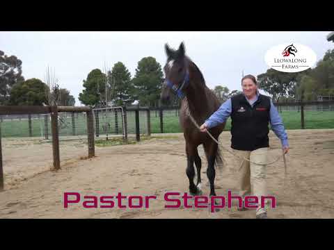 Pastor Stephen arrives back at Llowalong Farms