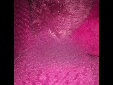 Everyone knows that (unknown song instrumental)