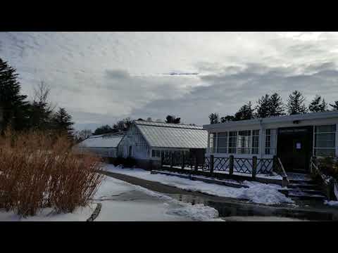 PLANTING FIELDS ARBORETUM WITH WINTER SNOW - OYSTER BAY, NEW YORK