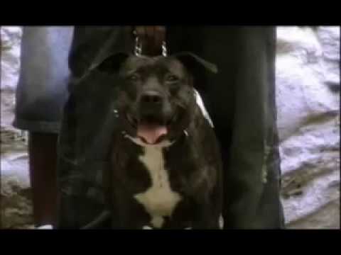 Smif N Wessun - Warrior's Heart ft. Dead Prez (Official Music Video)