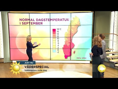 Hösten är här - eller? - Nyhetsmorgon (TV4)