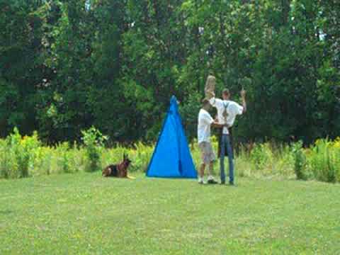 Iron Von der Stadtrand Schutzhund Protection
