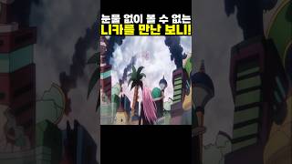 👉눈물 없이 볼 수 없는 니카를 만난 보니! #onepiece #원피스