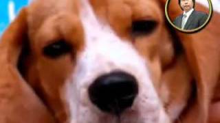 LOVE NEVER FAILS - Jim Brickman.