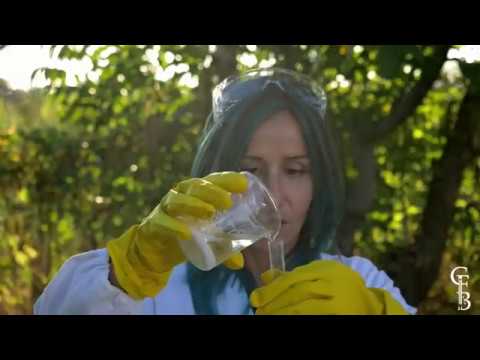 download lagu mp3 mp4 Chiara Giacobbe, download lagu Chiara Giacobbe gratis, unduh video klip Chiara Giacobbe