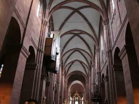 MVI 1709   Worms October 26, 2017(17)