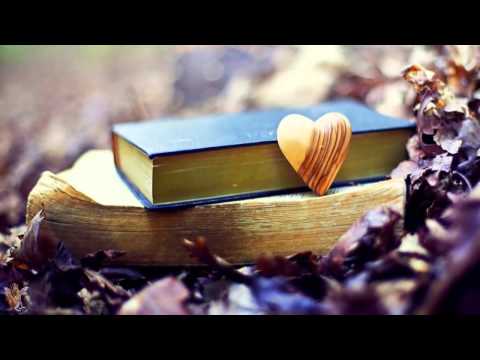 ☆ Jasná zpráva - Olympic ☆ [HD]