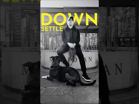 How to teach your dog to settle down. #dogtrainer #puppytraining