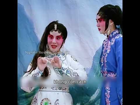 Đây là một màn trình diễn cực kỳ hài hước.