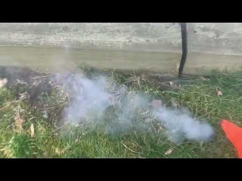 Mole & Vole Problem Solved with the Burrow RX in Old Bridge, NJ