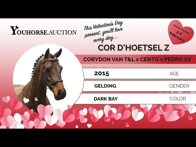 Cor D'hoetstel @ show Lier