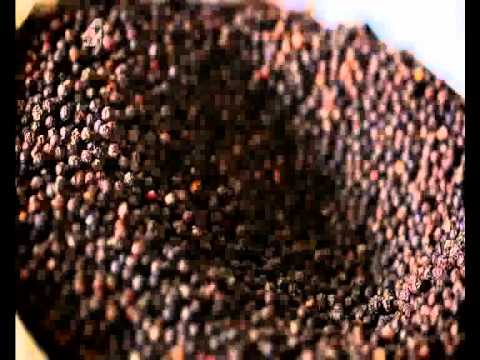 Spice Trip Cambodia _Black Pepper 01-1 mov