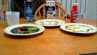 Color Changing Milk Experiment