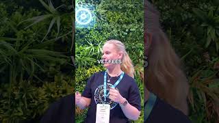 Xero AI: Revolutionizing Accounting for Business Owners #shorts