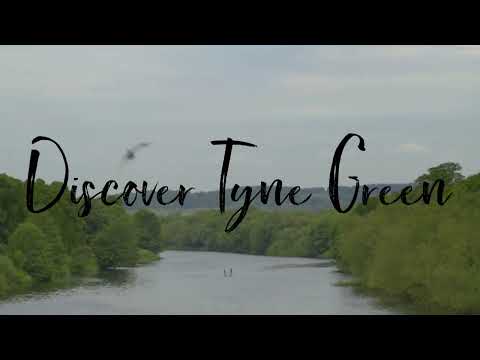 Discover a Historic Haven | Sounds of Hexham's Tyne Green