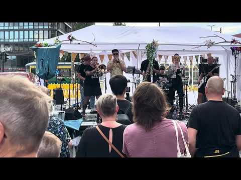 The Hornettes - Molehole (LIVE at KBP 2024)