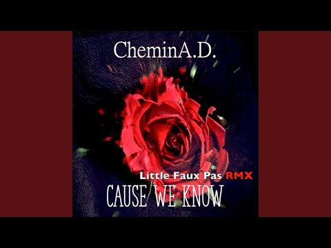 Cause We Know (Little Faux Pas RMX - Extended)