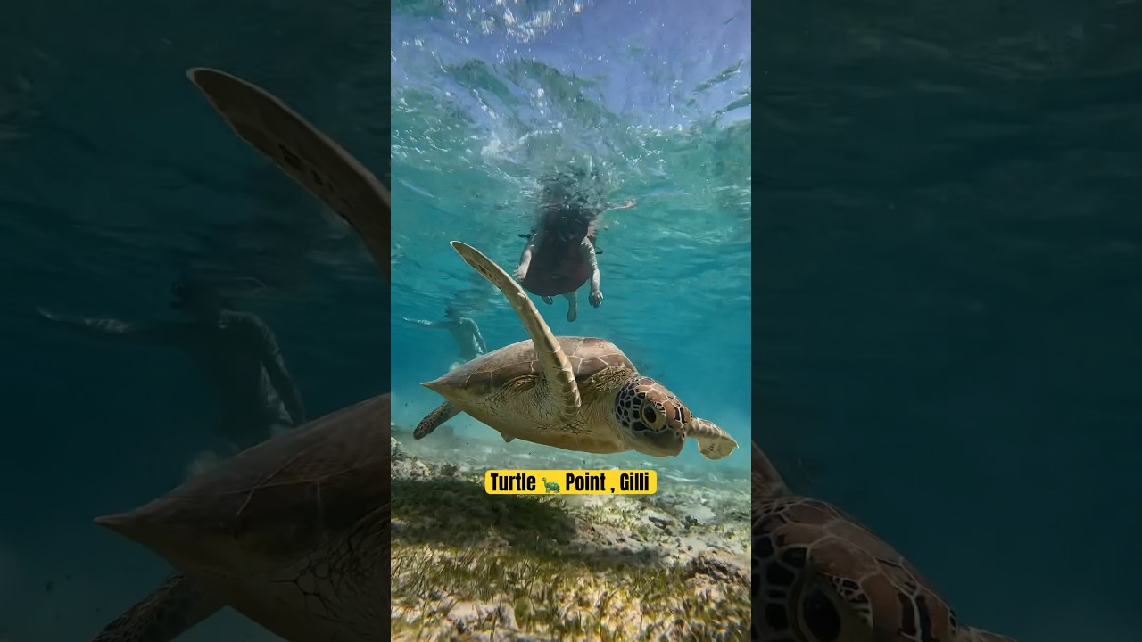 YouTube Short thumbnail