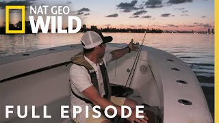 Fastest Fish in Miami (Full Episode) | Fish My City with Mike Iaconelli by Nat Geo WILD