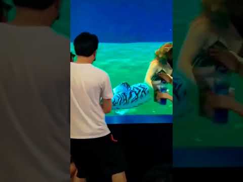 underwater dance mermaid merman - choreography #shorts