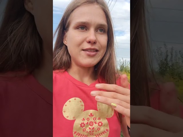 Відгуки про Эмилия Миркотан