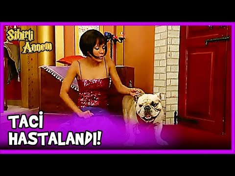 Taci HASTA Oldu! - Sihirli Annem 22. Bölüm