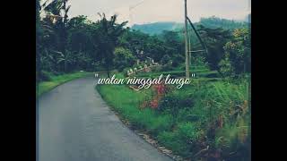 Download lagu Story wa lagu( yowes modaro) #1 mp3