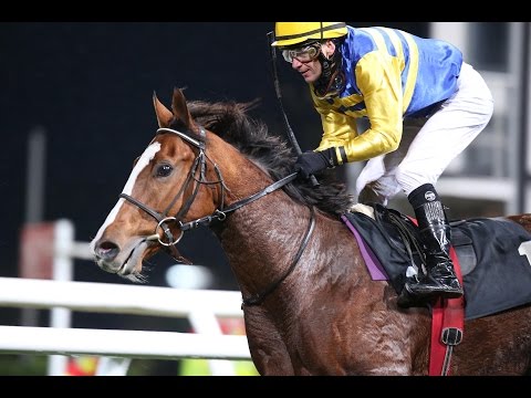 Neuss: Preis von Laval (D) - Sieger: Amparo