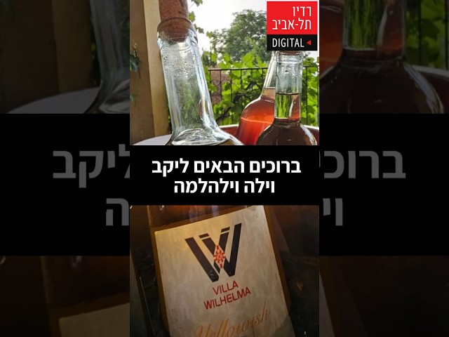    מוטי מספר על היקב ועל הייחודיות שלו, מתוך שיחה של מוטי גולדמן, הבעלים של יקב וילהלמה, עם דני וידיסלבסקי, מומחה להתנהגות אנושית ומאסטר בניהול, בתוכנית...