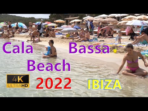 Cala Bassa Nice Clean Beach IBIZA | 2022 June, Spain