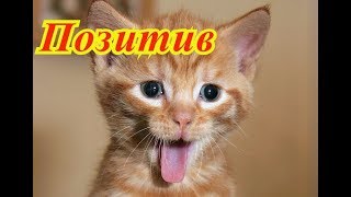 ПозитиФ чик