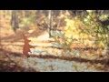 Autumn Leaves ~ Nat King Cole (HD) (HQ Audio) with lyrics
