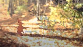 Autumn Leaves ~ Nat King Cole (HD) (HQ Audio) with lyrics